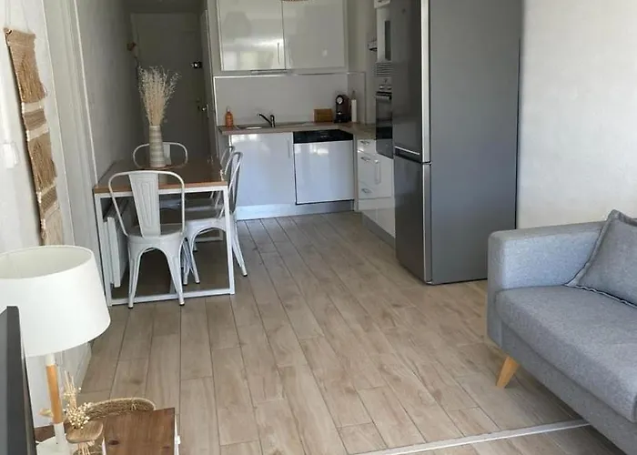 Le Cosy - Equipe, Face A La Avec Parking Et Wifi * Sète