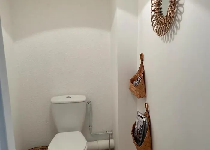 Le Cosy - Equipe, Face A La Avec Parking Et Wifi