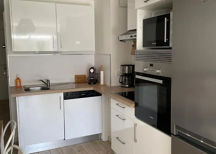 Le Cosy - Equipe, Face A La Avec Parking Et Wifi *