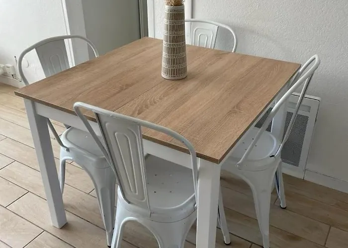 Le Cosy - Equipe, Face A La Avec Parking Et Wifi * 塞特港